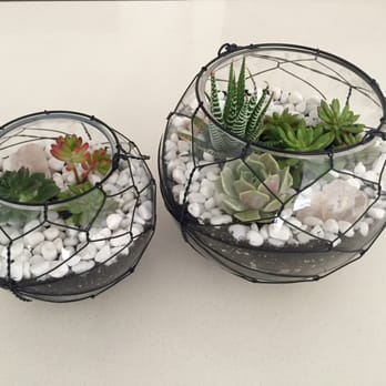 Potted - Home Decor Near Me - Los Angeles, California Potted - Home Decor Near Me - Los Angeles, California