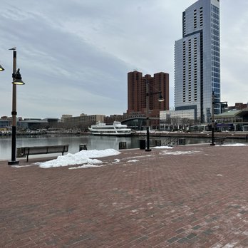 Inner Harbor - Another view of the harbor - Marinas Near Me - Baltimore, Maryland Inner Harbor - Another view of the harbor - Marinas Near Me - Baltimore, Maryland