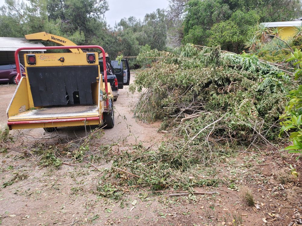 LAKESIDE EQUIPMENT SALES & RENTAL Updated September 2024 14 Photos