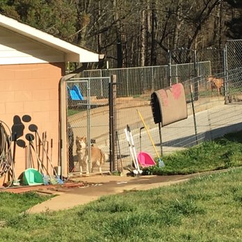 Dogwood Kennels NC - Pet Training Near Me - Catawba, North Carolina Dogwood Kennels NC - Pet Training Near Me - Catawba, North Carolina