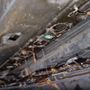 Steve's Auto Repair & Tire