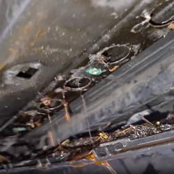 Steve's Auto Repair & Tire - This week, we tracked down the cause of a coolant leak on a Chevrolet Malibu: the radiator was leaking.