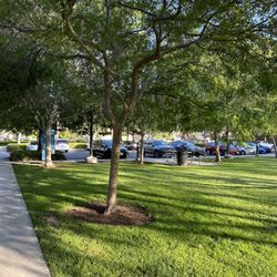 Valley Oak Park