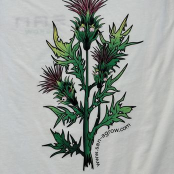 Sol Prints - Screen printed white shirt. - Screen Printing/T-Shirt Printing Near Me - Phoenix, Arizona