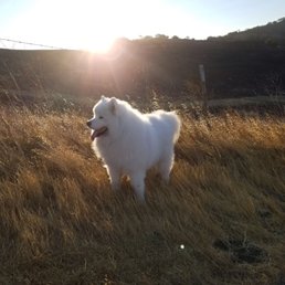 Nice little hike with Rex. Trails looking good