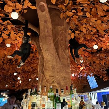 Sushisamba - Bar Area - Asian Fusion Near Me - Las Vegas, Nevada Sushisamba - Bar Area - Asian Fusion Near Me - Las Vegas, Nevada