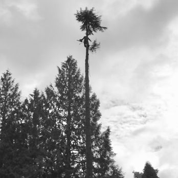 Northern Craft Tree Solutions - Tree Services Near Me