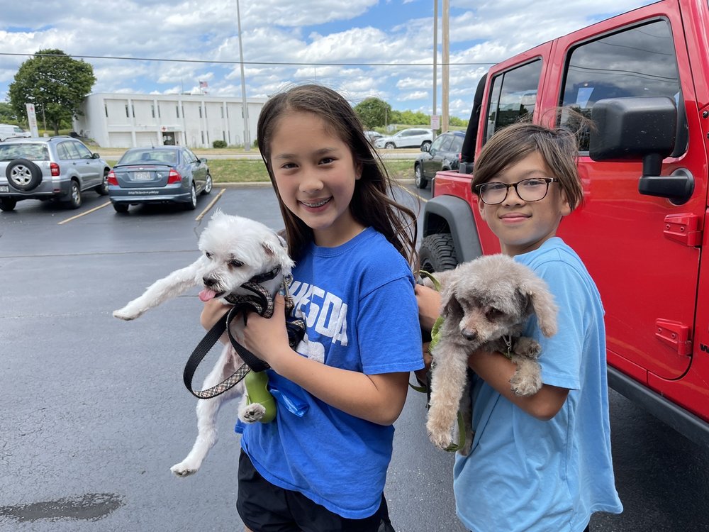 PETLICIOUS DOG BAKERY & PET SPA Updated August 2024 36 Photos & 25 Reviews 2217 Silvernail