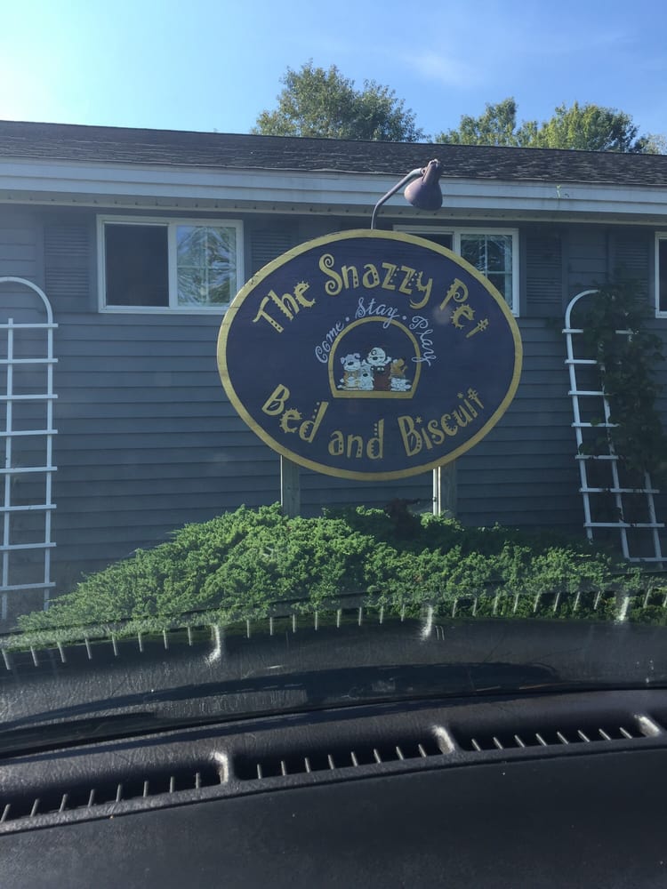 SNAZZY PET BED & BISCUIT Updated October 2024 757 Limerick Rd