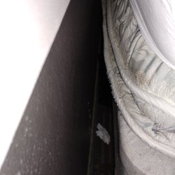 Americas Best Value Inn & Suites Racine - Traces of bed bugs and one if you zoom in