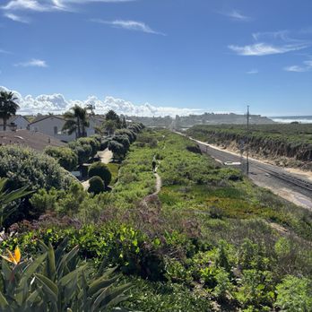Batiquitos North Bluff Trail - Almost super bloom time! Beautiful run today. - Hiking Near Me - Carlsbad, California Batiquitos North Bluff Trail - Almost super bloom time! Beautiful run today. - Hiking Near Me - Carlsbad, California