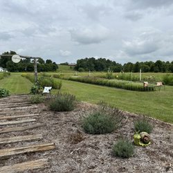 Sugar Creek Flower Farm