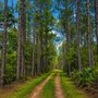 Photo of 30A Farm & RV Park