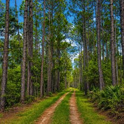 30A Farm & RV Park