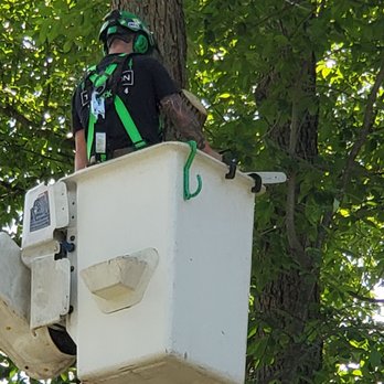 Thompson Tree Care - Tree Services Near Me