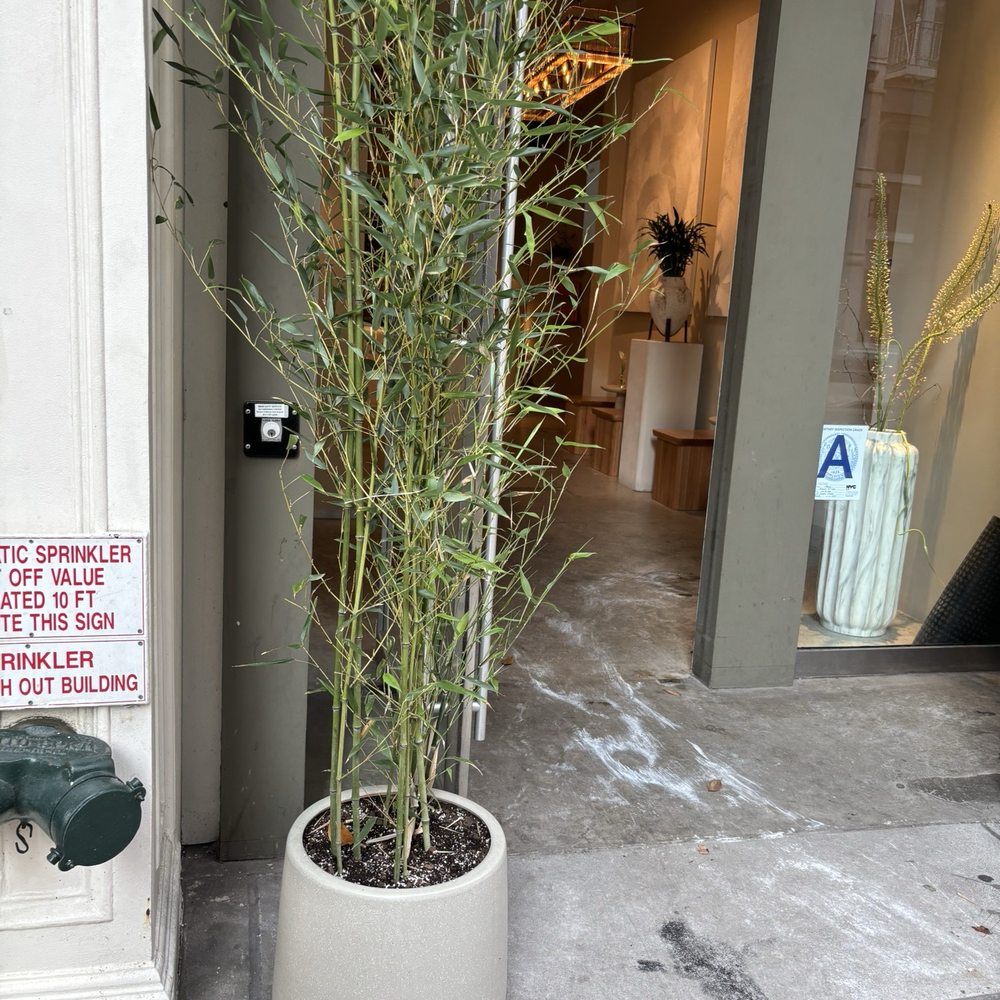 Manjul Coffee - Bespoke Clothing Near Me - New York, New York Manjul Coffee - Bespoke Clothing Near Me - New York, New York