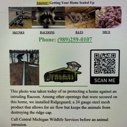 Central Michigan Wildlife Services