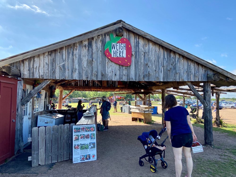 SWEET BERRY FARM Updated June 2024 224 Photos & 172 Reviews 1801