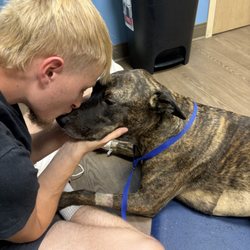 Care Animal Hospital