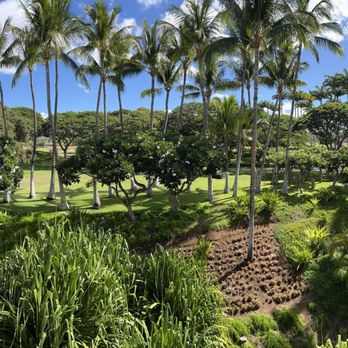 The Westin Hapuna Beach Resort - Hotels Near Me - Kohala Coast, Hawaii The Westin Hapuna Beach Resort - Hotels Near Me - Kohala Coast, Hawaii
