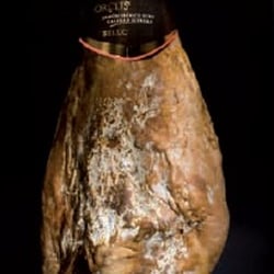 Porcus Regius