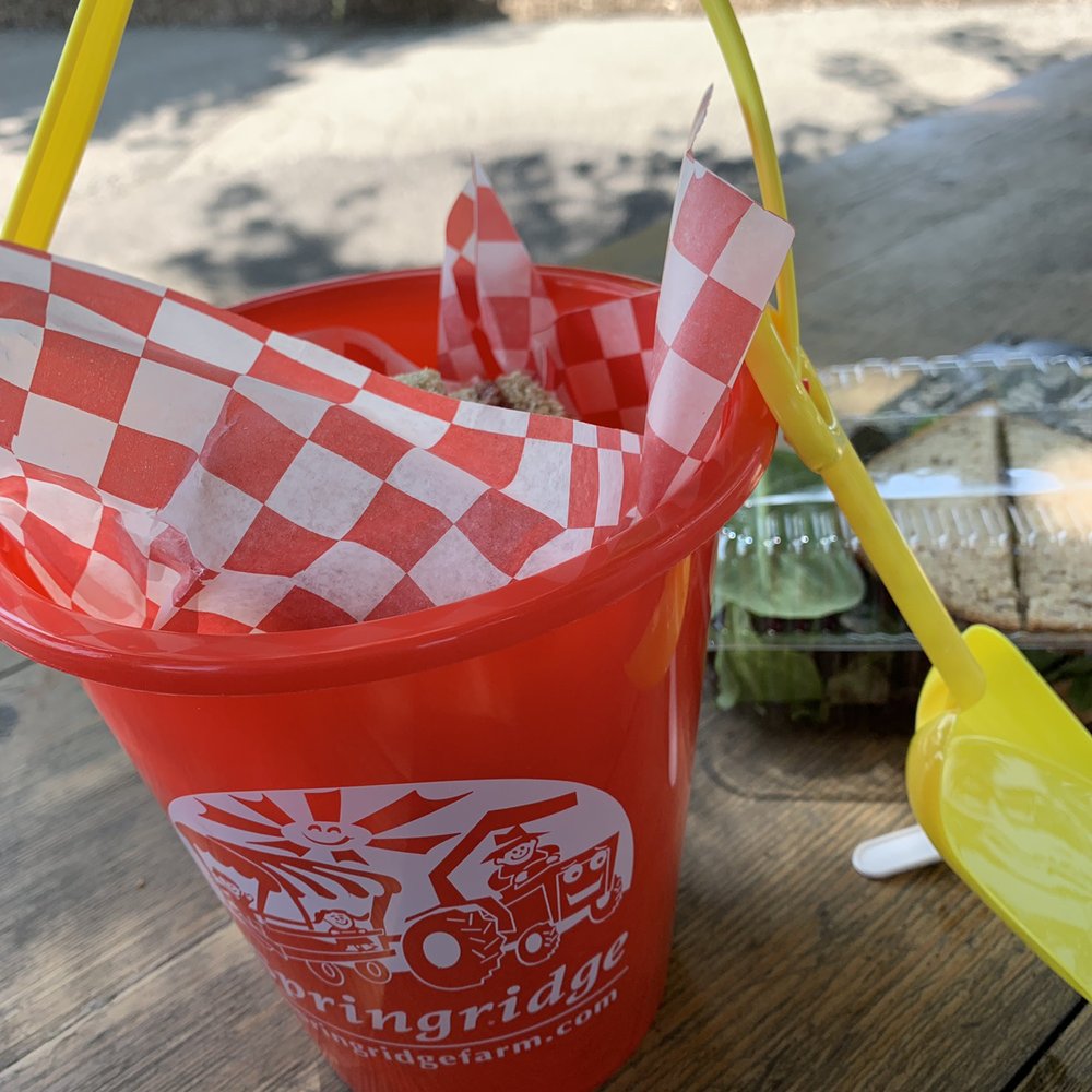 Sandbox lunch for kids with jam sandwich carrots chocolate cookie & juice box