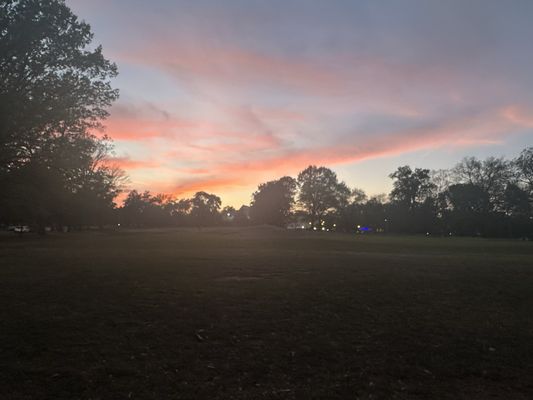 Overton Park by null