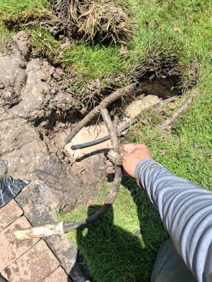 AT Irrigation & Landscape on Yelp