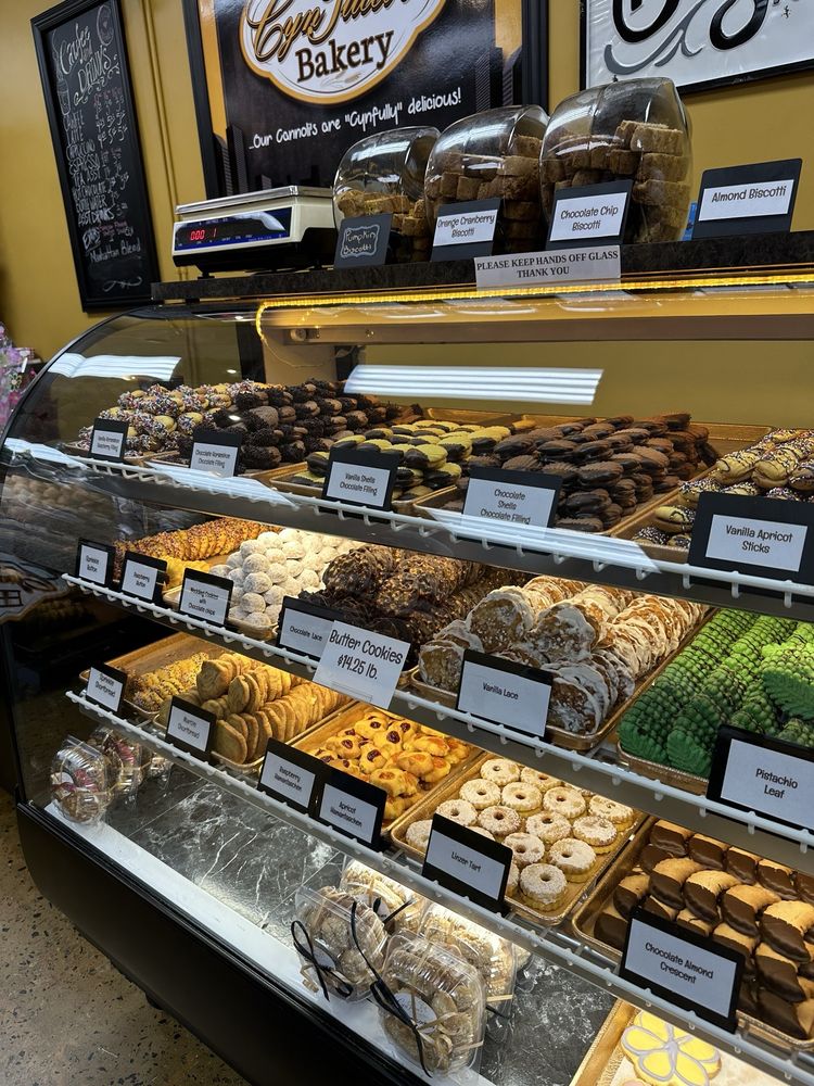 CynTucci's