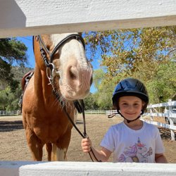 Horse Connections