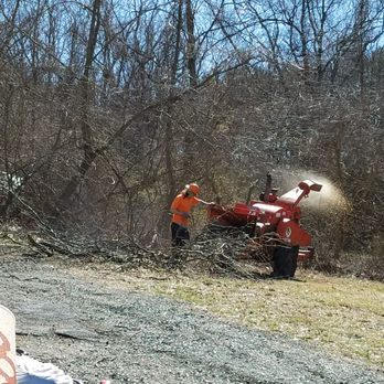 Morgan Brothers Tree Service - Tree Services Near Me - Reading, Pennsylvania Morgan Brothers Tree Service - Tree Services Near Me - Reading, Pennsylvania