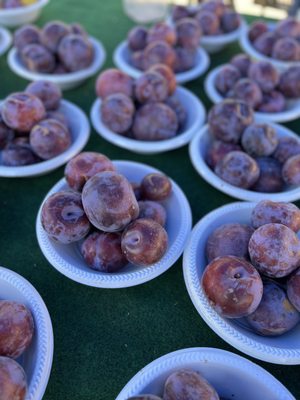 Visalia Farmers' Market by null