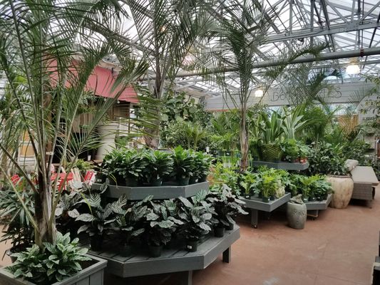 Patuxent Nursery 72 Photos 49 Reviews Nurseries Gardening 2410 N Crain Hwy Bowie Md United States Phone Number Yelp Patuxent Nursery 72 Photos 49