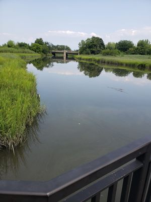 Alley Pond Environmental Center by null