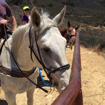 Circle Bar B Stables - Our horses - Horseback Riding Near Me - Santa Barbara, California
