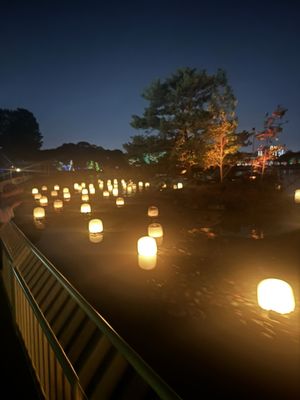 teamLab Botanical Garden Osaka by null