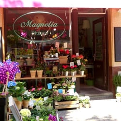 Magnolia Blumen