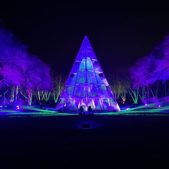 Chicago Botanic Garden - Techno tree? - Botanical Gardens Near Me - Glencoe, Illinois