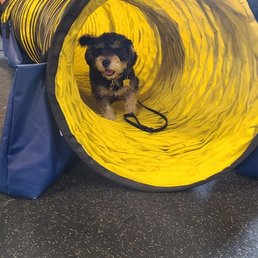 2nd Agility Class