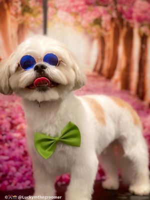 INWOOD ANIMAL CLINIC - Updated May 2025 - 246 Photos & 209 Reviews