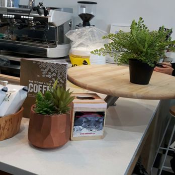 Cat Cafe on Whyte - Coffee & Tea Near Me - Edmonton, Alberta