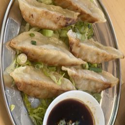 Chicken & Vegetable Pot Stickers