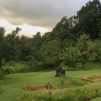 Experience Nutridge - The views from here are incredible. - Performing Arts Near Me - Honolulu, Hawaii