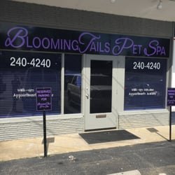 Bloomintails Pet Spa - Your fur babies comfort is our number one priority.