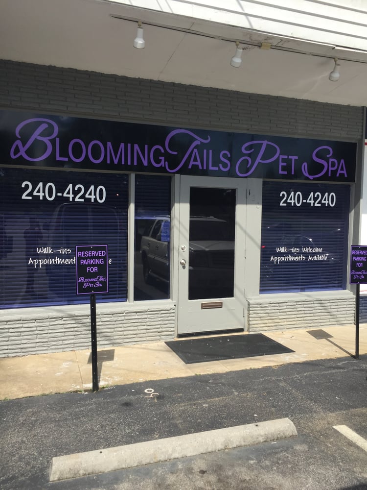 BLOOMINTAILS PET SPA 120 S Northsore Dr, Knoxville, Tennessee Pet Groomers Phone Number Yelp
