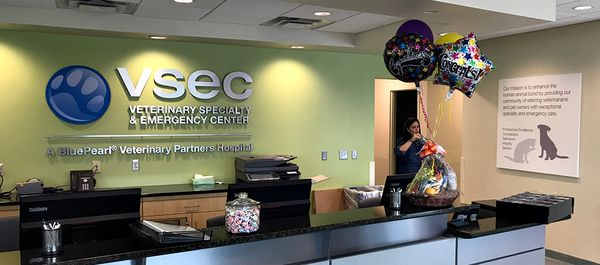 Veterinary Specialty Emergency Center Conshohocken 43 Reviews Emergency Pet Hospital 625 Ridge Pike Conshohocken Pa United States Phone Number