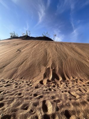 Sleeping Bear Dunes National Lakeshore by null