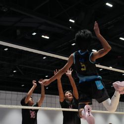 Urban Volleyball Athletic Club
