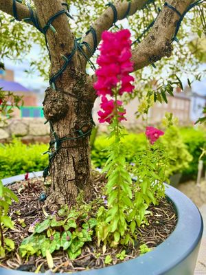 Dylan Hotel, Dublin - an SLH Hotel by null Dylan Hotel, Dublin - an SLH Hotel by null