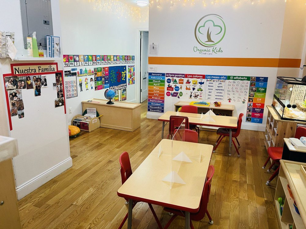 Organic Kids Child Care - childcare center in New York, NY